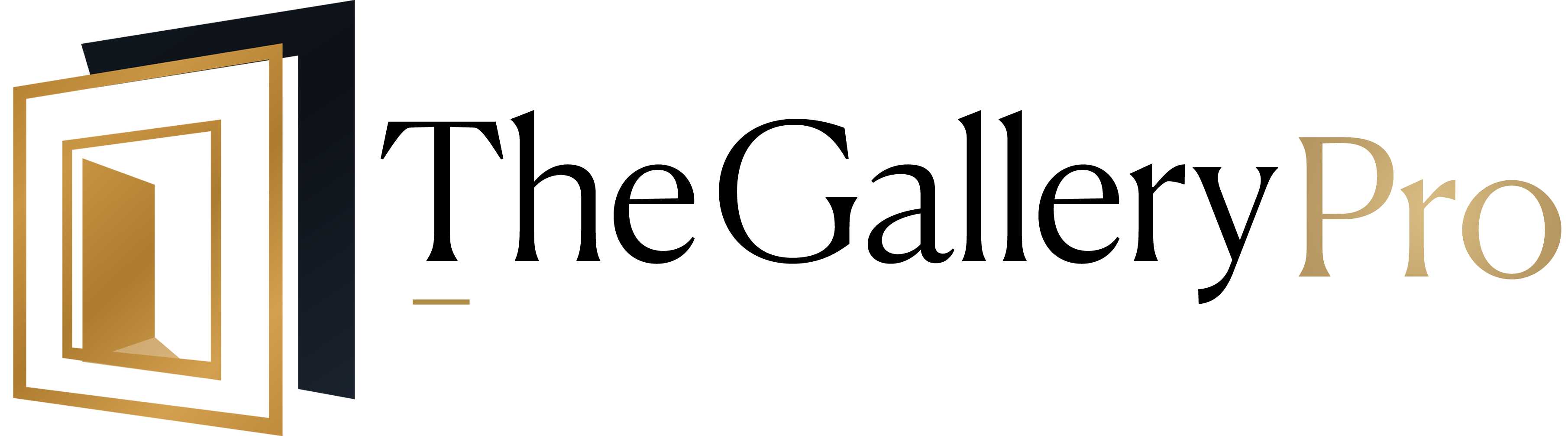 TheGalleryPro